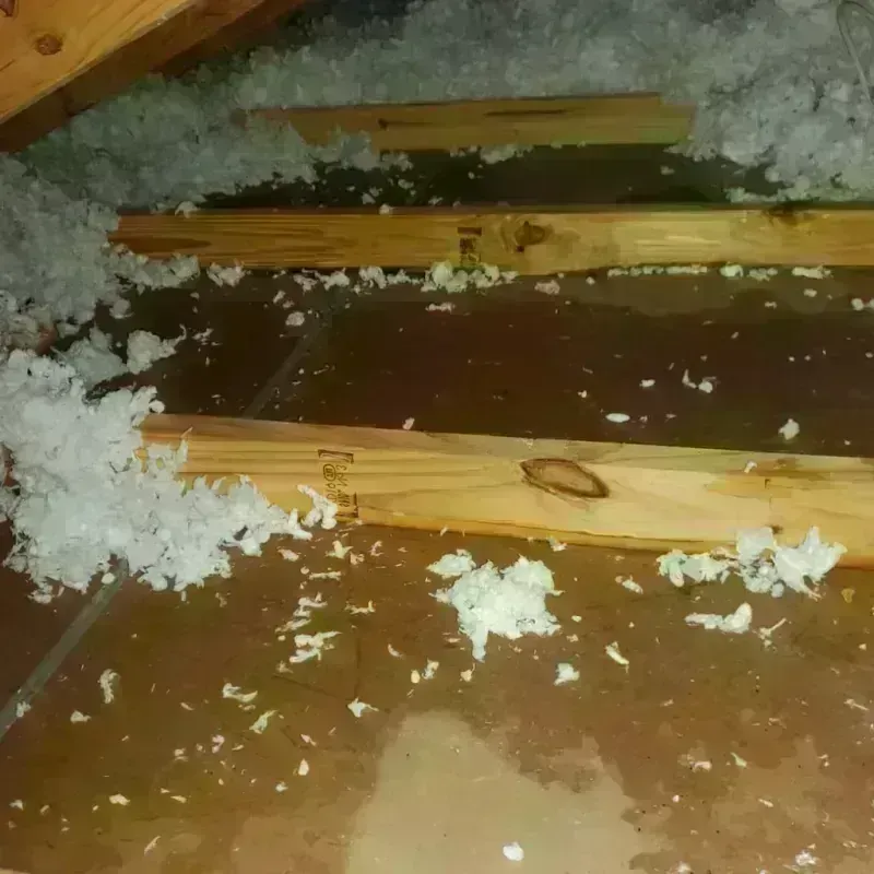 Attic Water Damage in Edgerton, WI