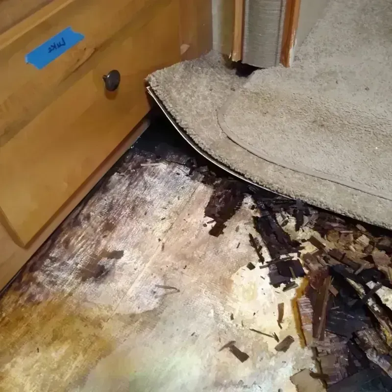 Wood Floor Water Damage in Edgerton, WI